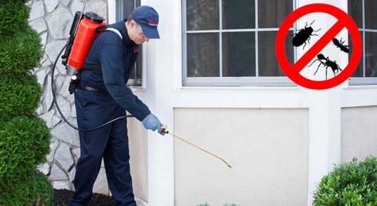 Çayıralan Fare İlaçlama böcek ilaçlama ve haşere kontrolü — ilaclama-tr.com